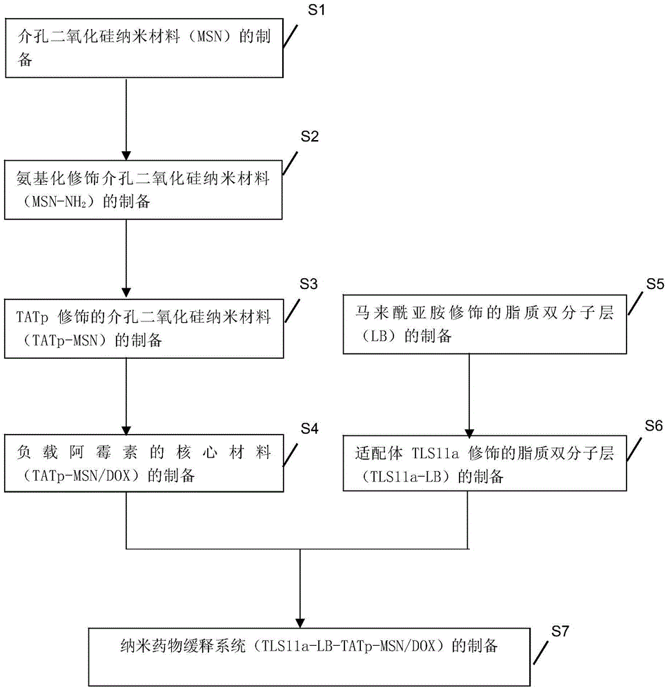 Tumor cell membrane/nuclear membrane double-targeting tumor nano-drug slow-release system and preparation and application thereof