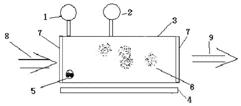 Method and apparatus for producing mercury vapor with standard concentration