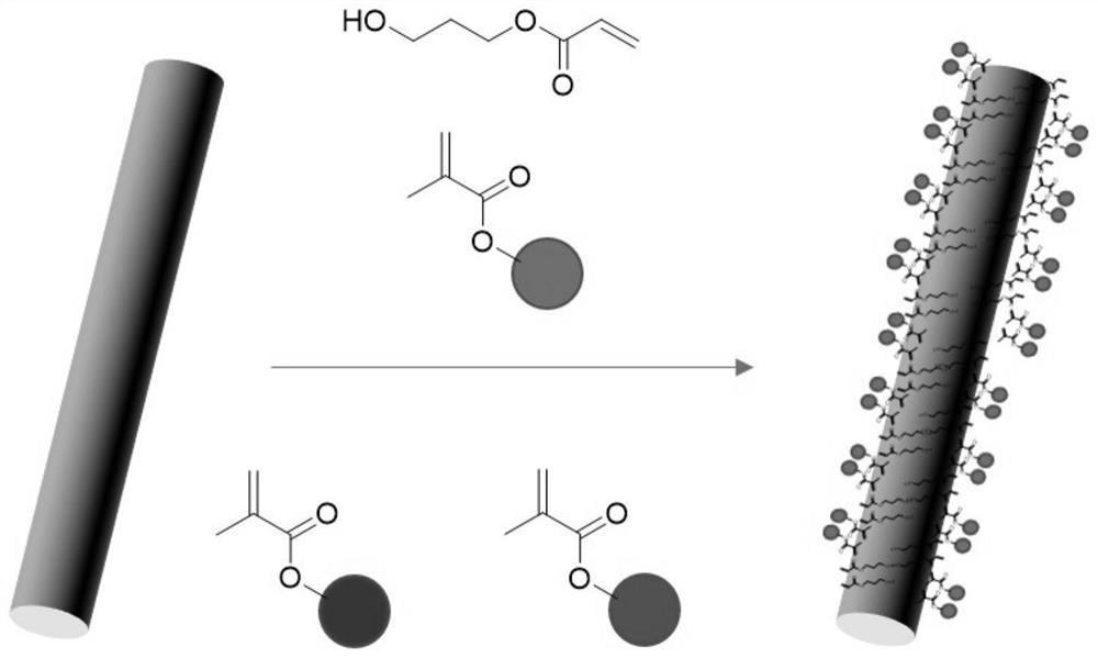 A kind of organic-inorganic electric polarization particle and its preparation method and application