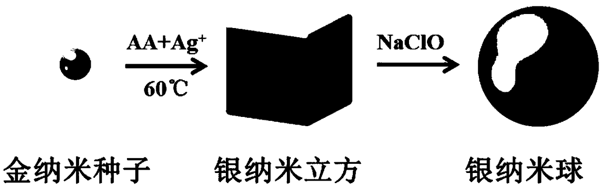 Aqueous phase preparation method for single crystal silver nanosphere