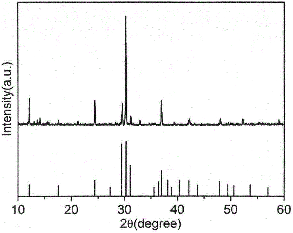 Strontium manganate nanowires and microwires and preparation method thereof