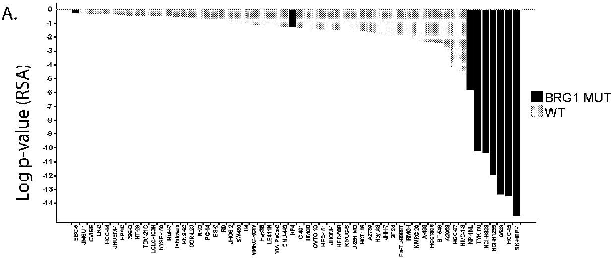 Biomarkers associated with brm inhibition