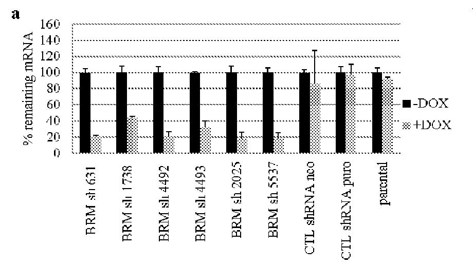 Biomarkers associated with brm inhibition