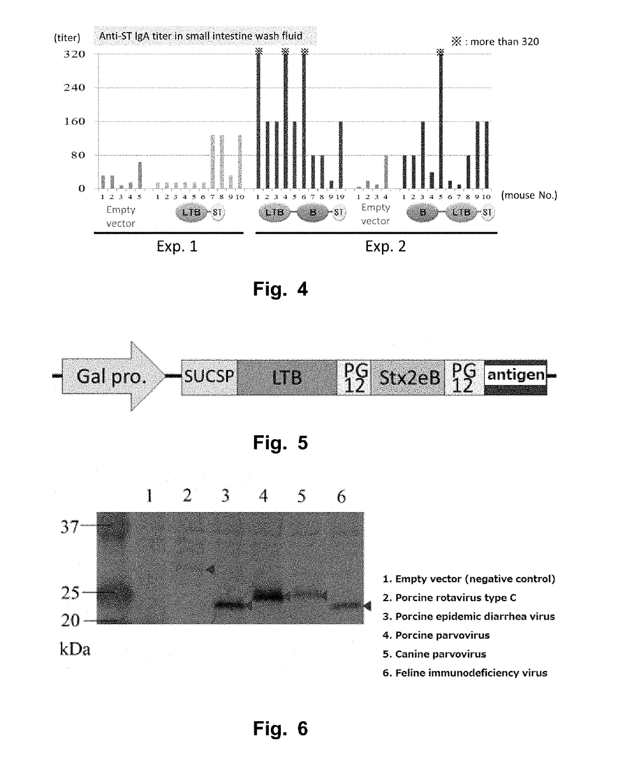 Vaccine antigen with increased immunogenicity