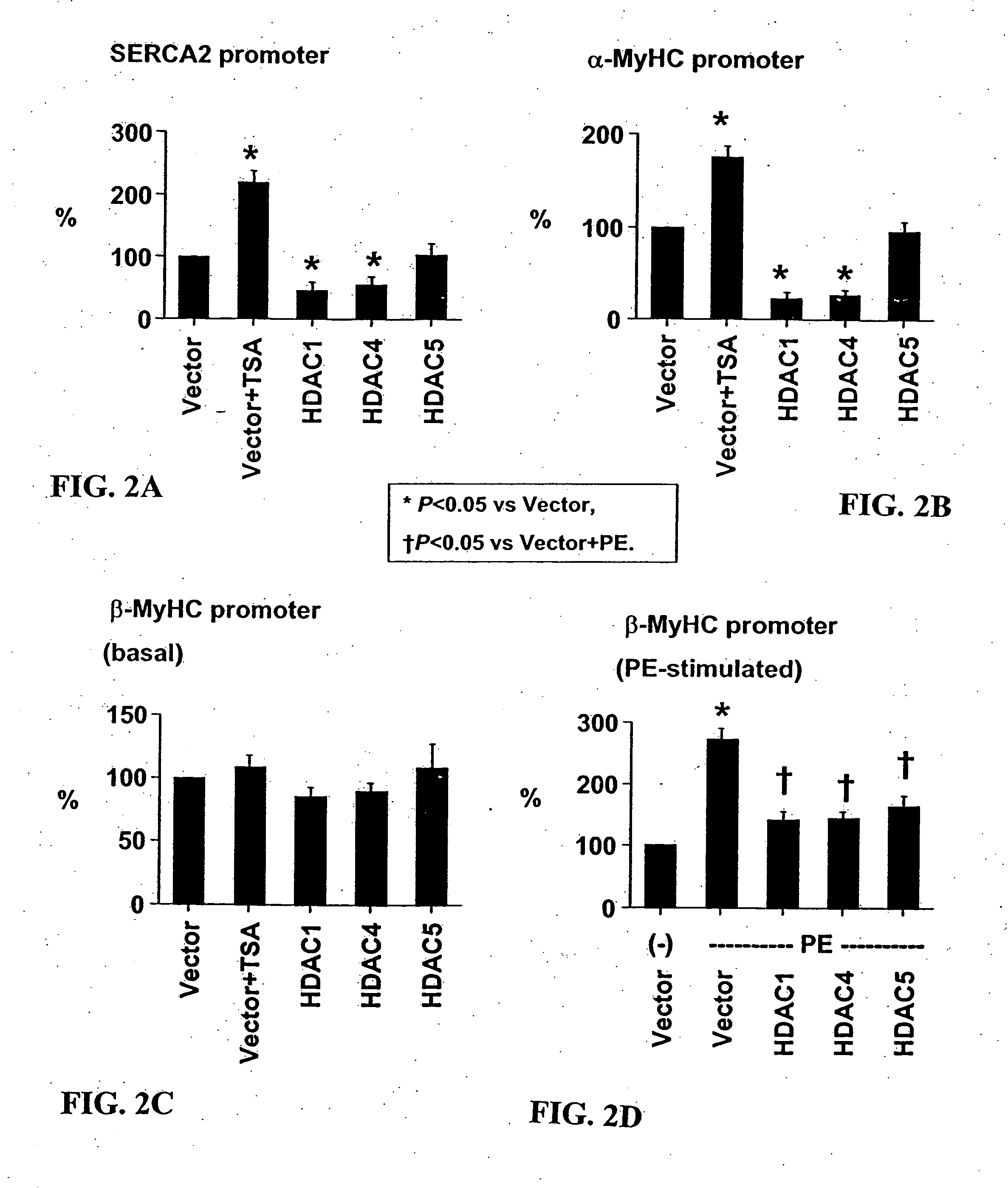 Inhibition of histone deacetylase as a treatment for cardiac hypertrophy