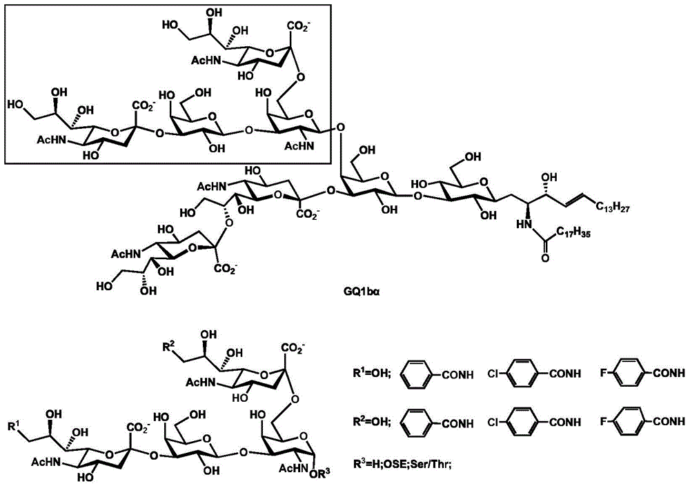 Synthesis method of tetrasaccharide MAG antagonist