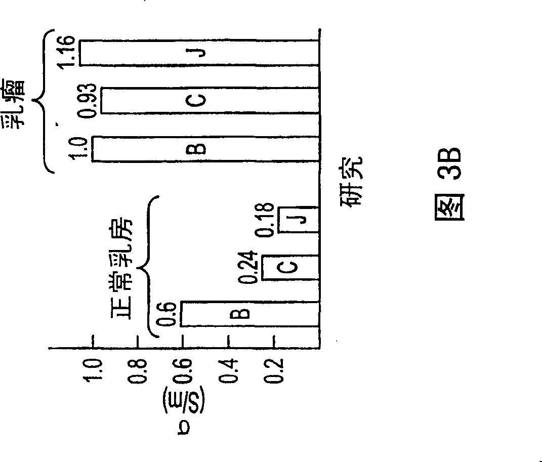 Apparatus for treating breast lesions using microwaves