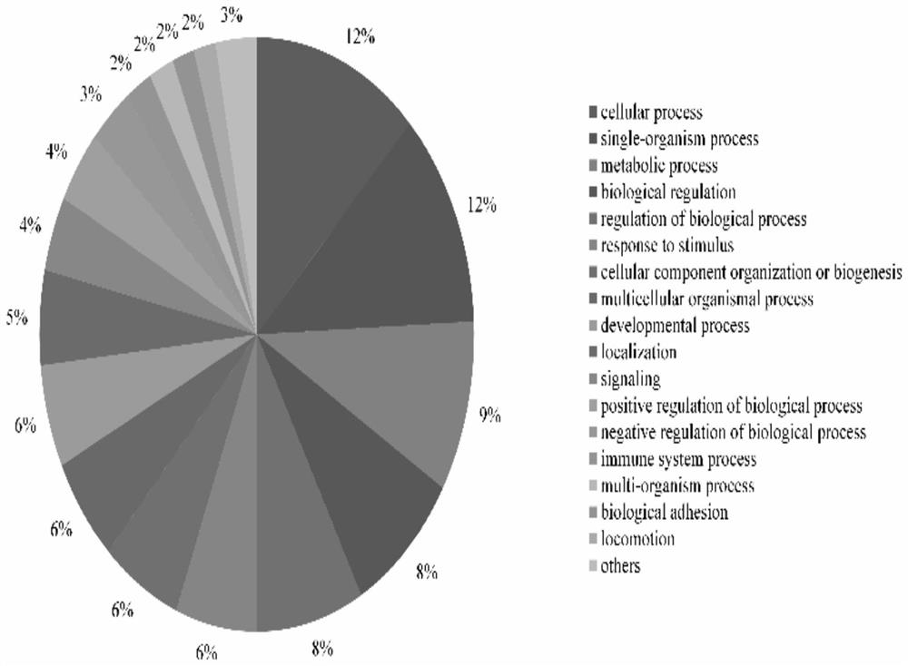 A method for population origin inference based on hair shaft proteome nssnp