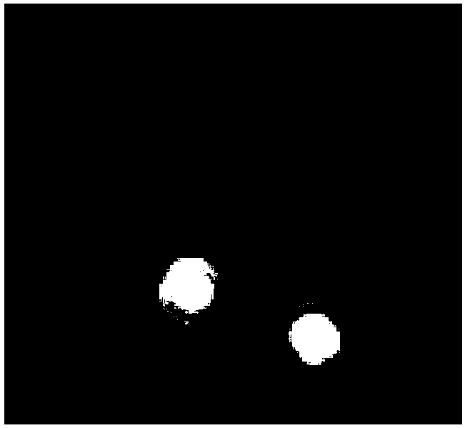 Alkaligordonia yc-rl2 and its application