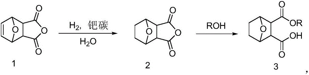 Norcantharidin monomer-acid monoester derivative and anti-tumor application thereof