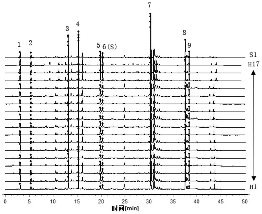 Construction method and application of characteristic maps of Myrobalan and Myrobalan tomentosa