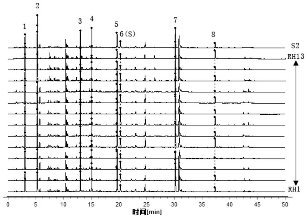 Construction method and application of characteristic maps of Myrobalan and Myrobalan tomentosa