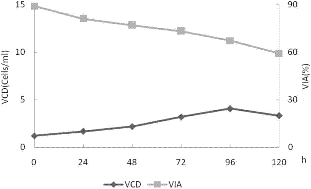 Method for preparing recombinant human blood coagulation factor VIII