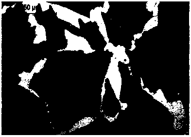 Uniform-speed cooling medium and application thereof in cooling control process after forging