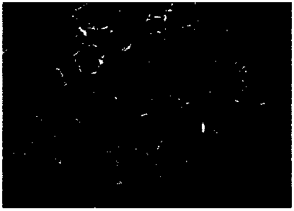 Uniform-speed cooling medium and application thereof in cooling control process after forging