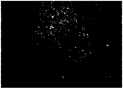 Uniform-speed cooling medium and application thereof in cooling control process after forging