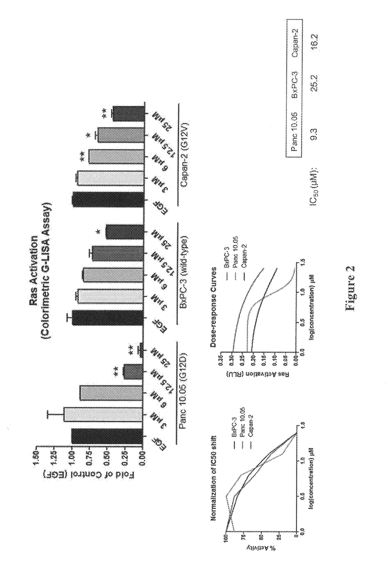 Compositions and methods of targeting mutant k-ras