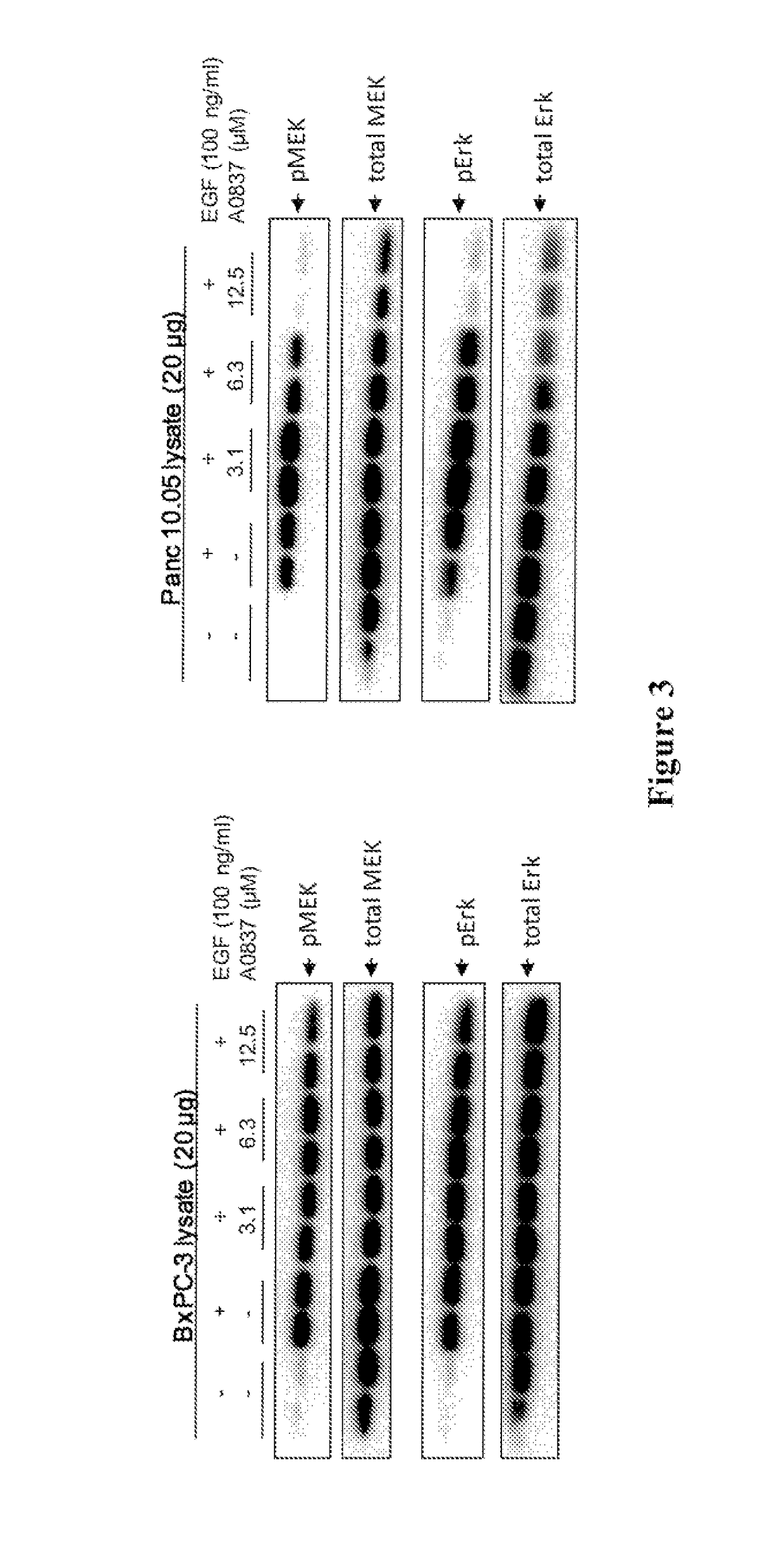 Compositions and methods of targeting mutant k-ras