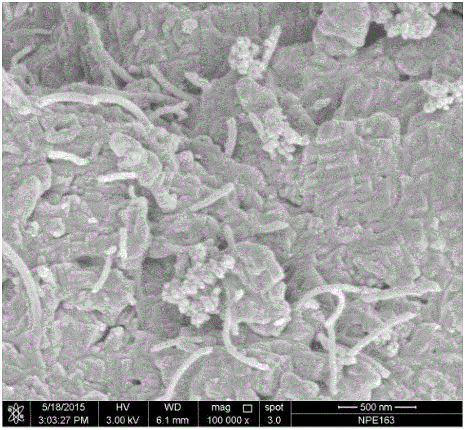 Electrostatic self-assembly carbon nano tube/nano-carbon black composite mortar as well as preparation method and application thereof