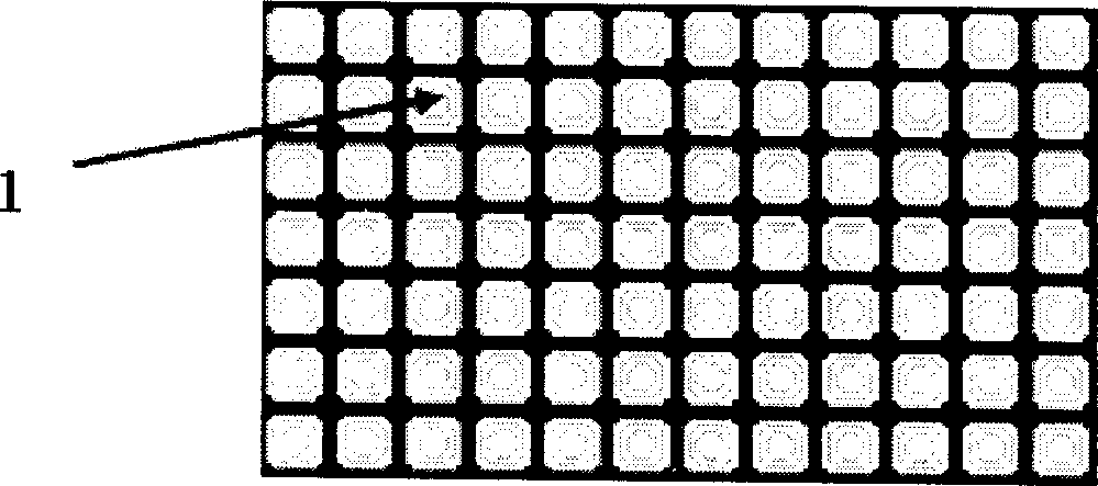 Process for manufacturing wind-up type liver tissue engineering stent