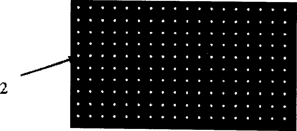 Process for manufacturing wind-up type liver tissue engineering stent