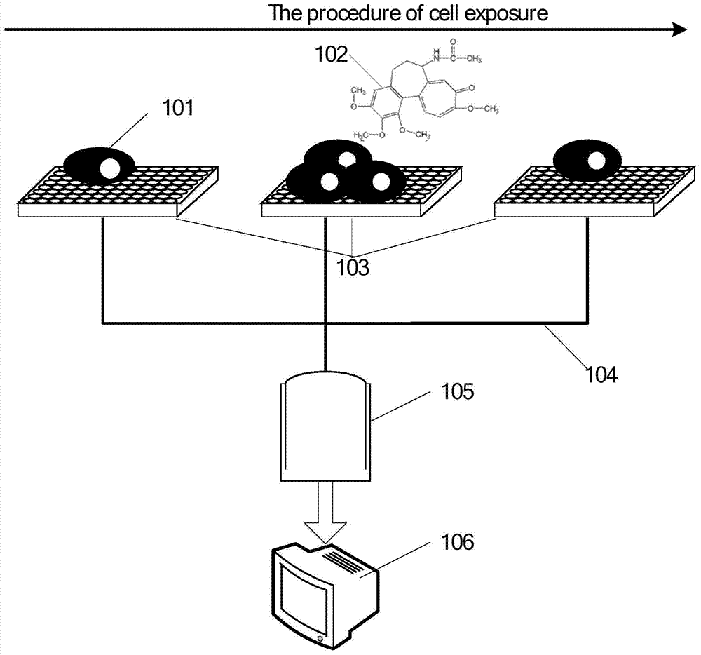 High-throughput cytotoxicity assessment method