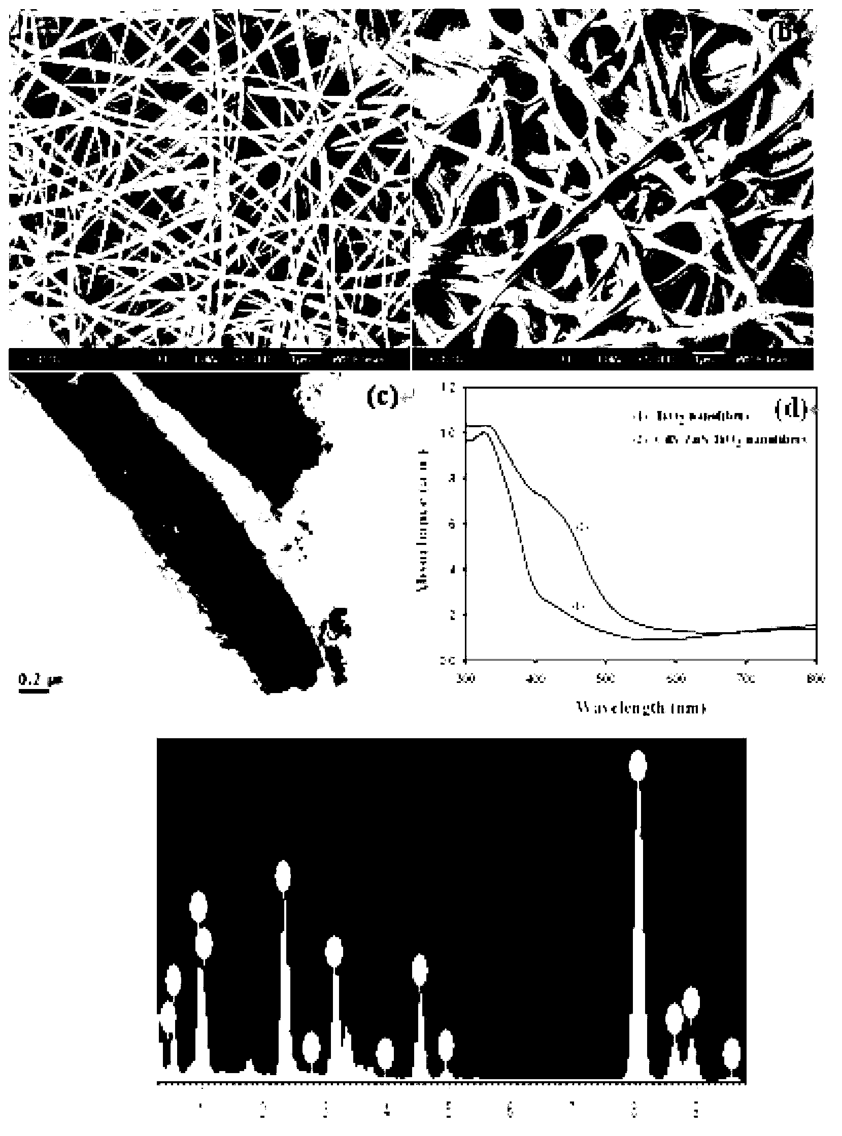 Photocatalyst as well as preparation method and application method thereof