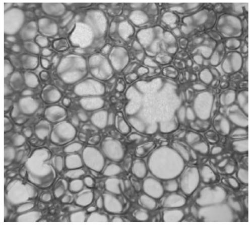 Modified polyether polyhydric alcohol and application thereof in polyurethane foam materials