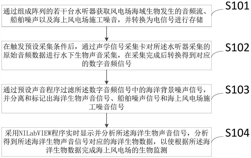 Offshore wind plant biological monitoring method and system based on passive acoustics