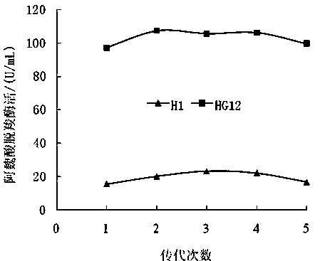 Bacillus circulans and application for same in preparation for ferulic acid decarboxylase