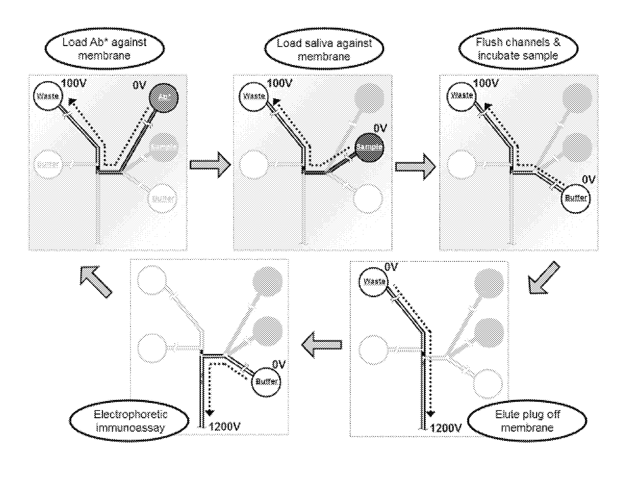 Preconcentration and separation of analytes in microchannels