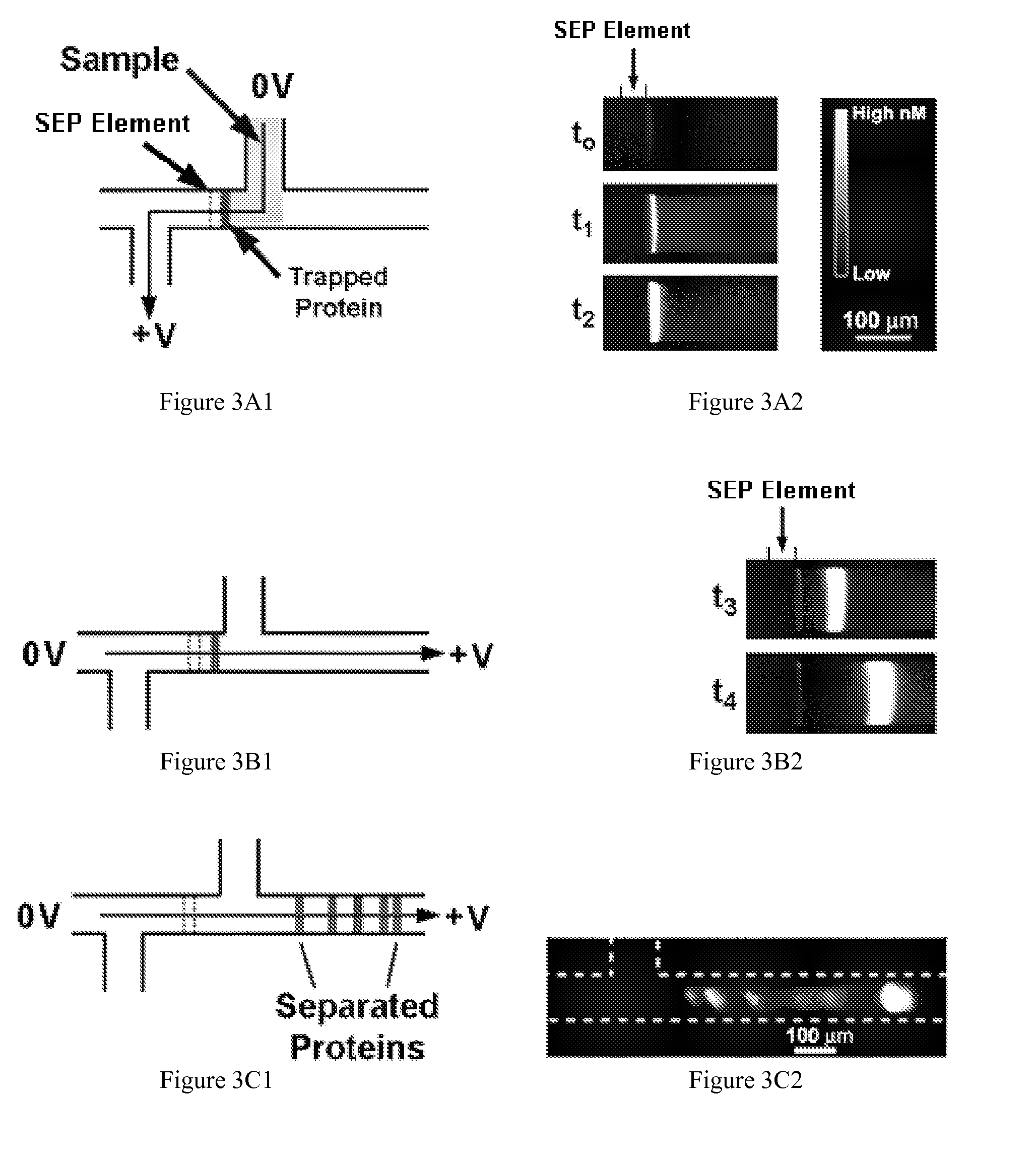 Preconcentration and separation of analytes in microchannels