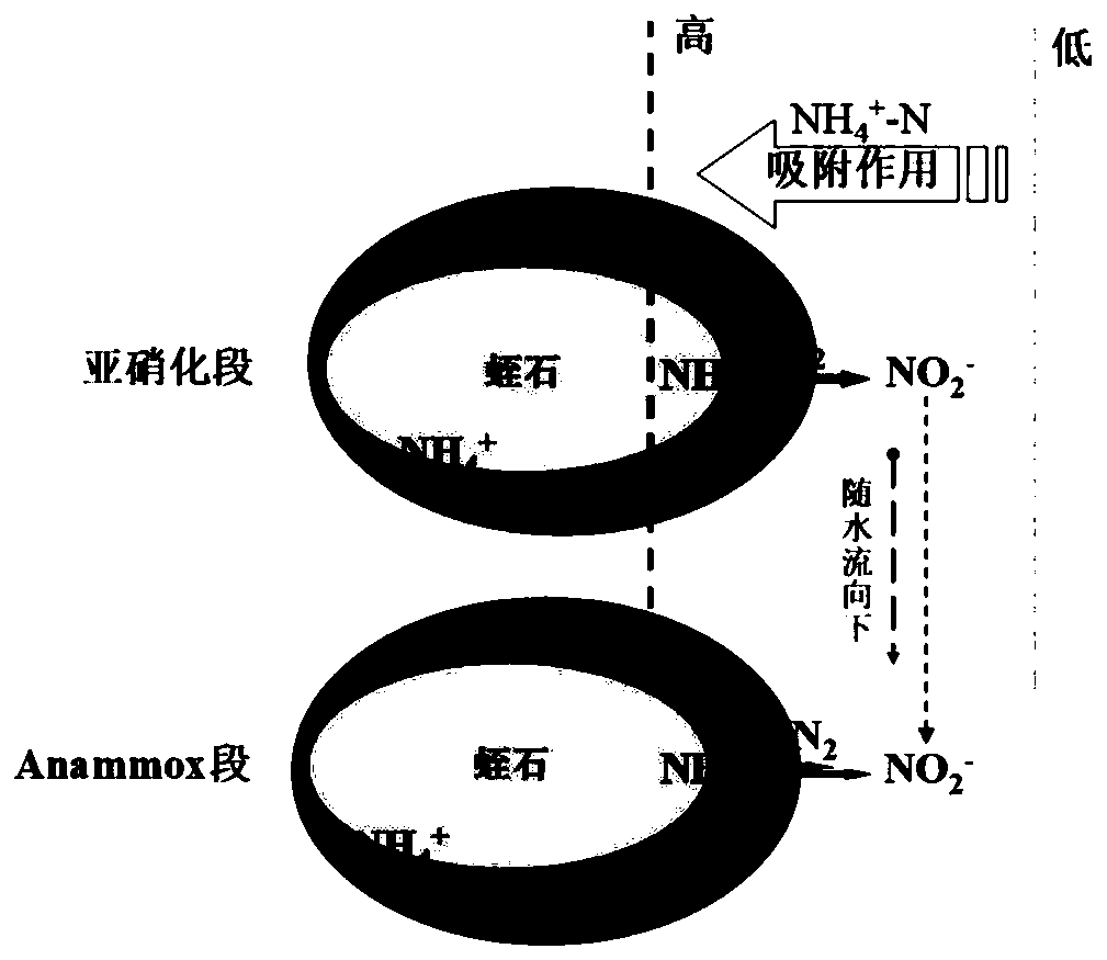 Nitrosation-anaerobic ammonia oxidation treatment device for city sewage and method