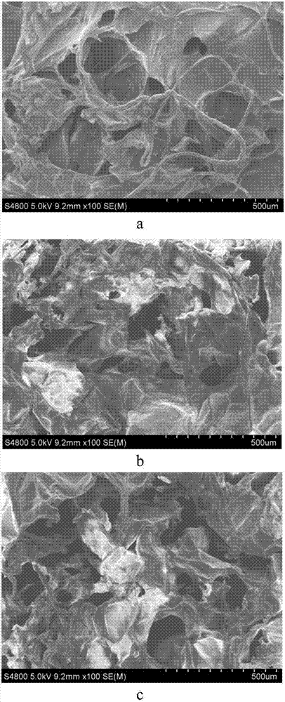 Dual-network hydrogel adsorbent and preparation method thereof and application of dual-network hydrogel adsorbent as heavy metal absorbent