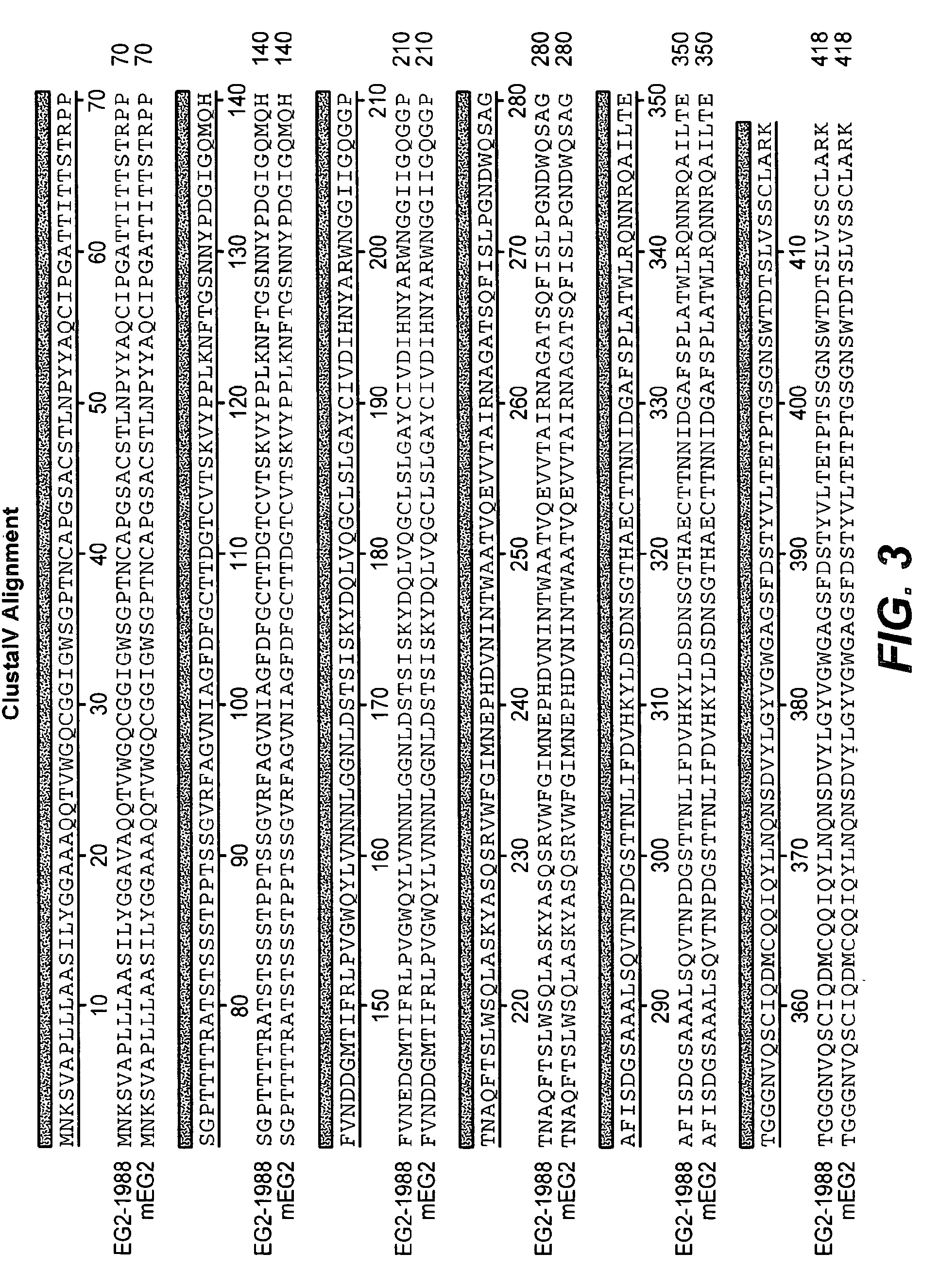 Modified endoglucanase II and methods of use