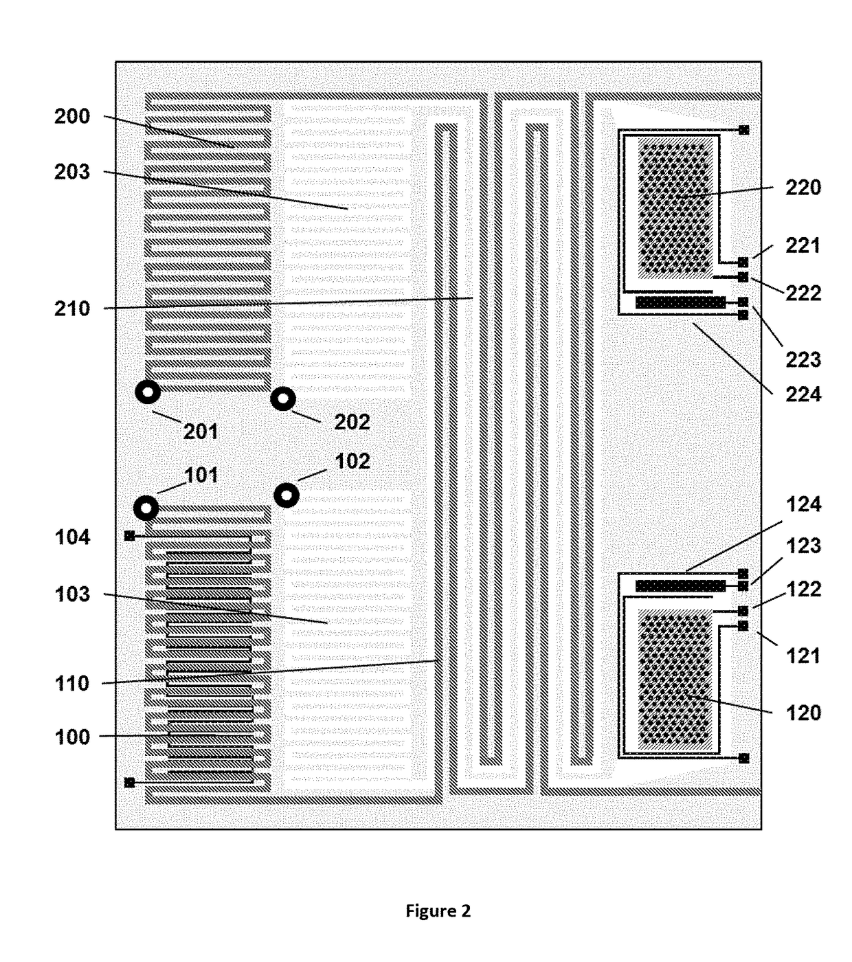 Method for liquid authentication by detection of flavonoid derivatives