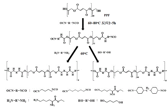 Biodegradable unsaturated polyurethane material and preparation method thereof