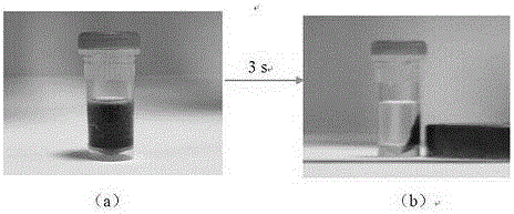 A kind of preparation method of magnetic agarose microsphere