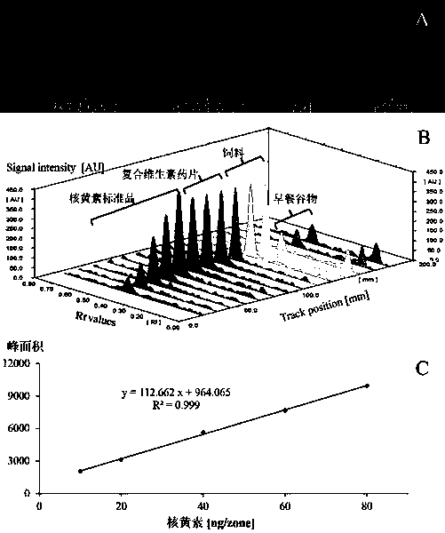 Method for screening riboflavin in food and medicine by connecting high-performance thin-layer chromatography with surface-enhanced Raman spectrum