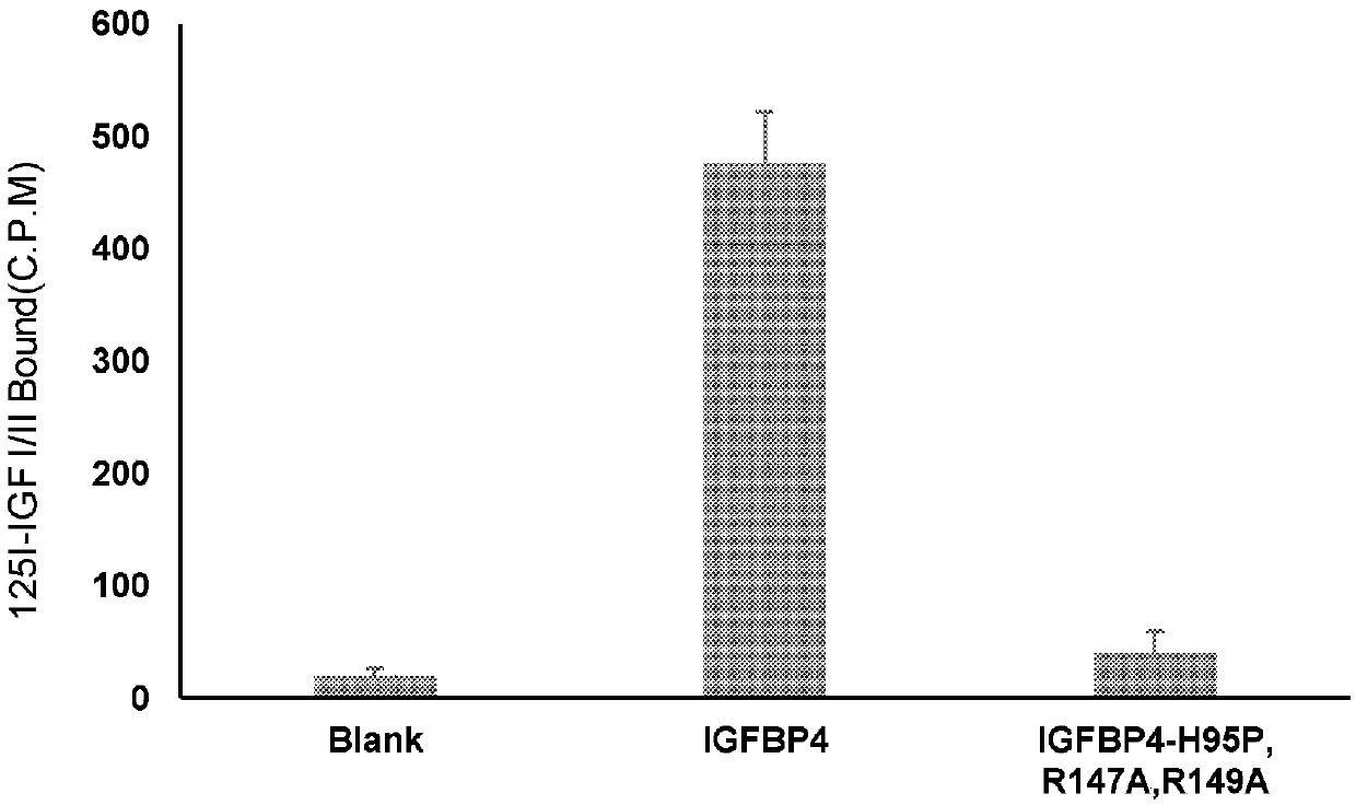 Insulin-like growth factor binding protein 4 mutant and pharmaceutical application thereof