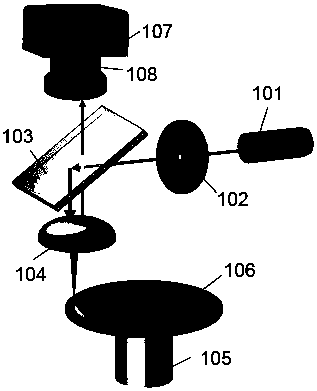 Time-resolved spectrum and lifetime measurement module and device