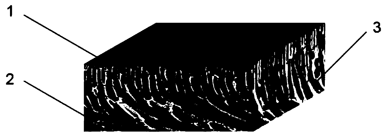 Preparation method of modified reverse osmosis membrane