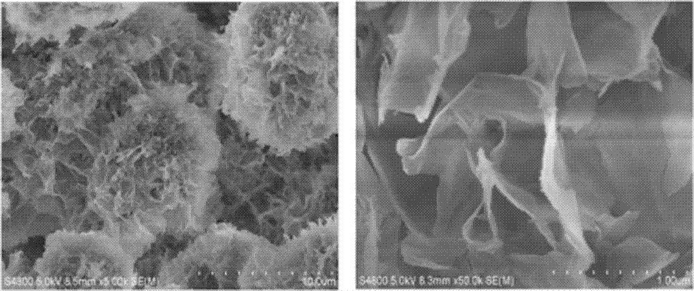 Novel harmful gas adsorbing particle, and preparation method thereof