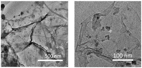 Method for preparing anode of microorganism fuel battery with graphene and ferrous disulfide compound