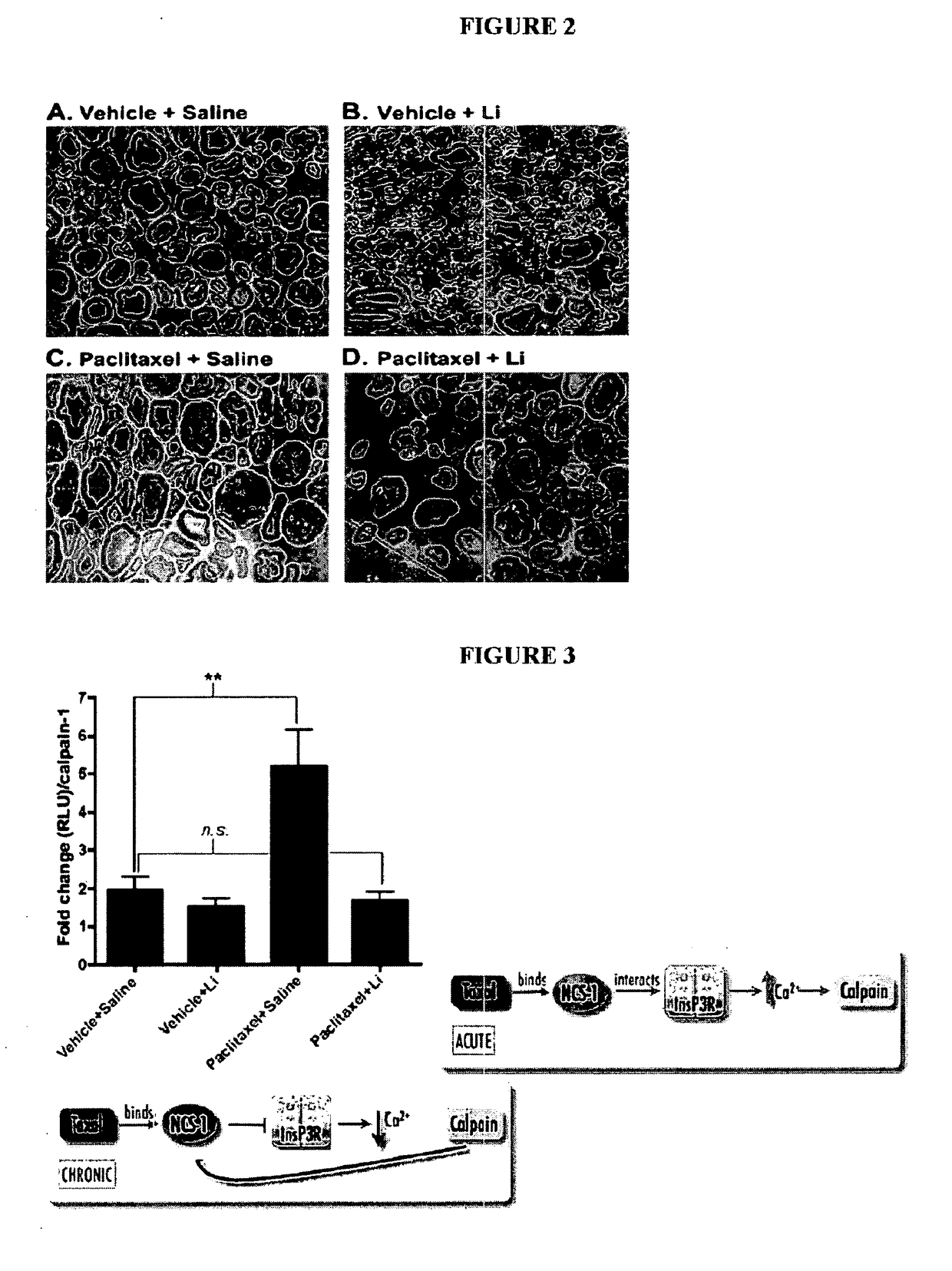 Drug therapy to inhibit chemotherapy-induced adverse effects and related pharmaceutical compositions, diagnostics, scrreening techniques and kits