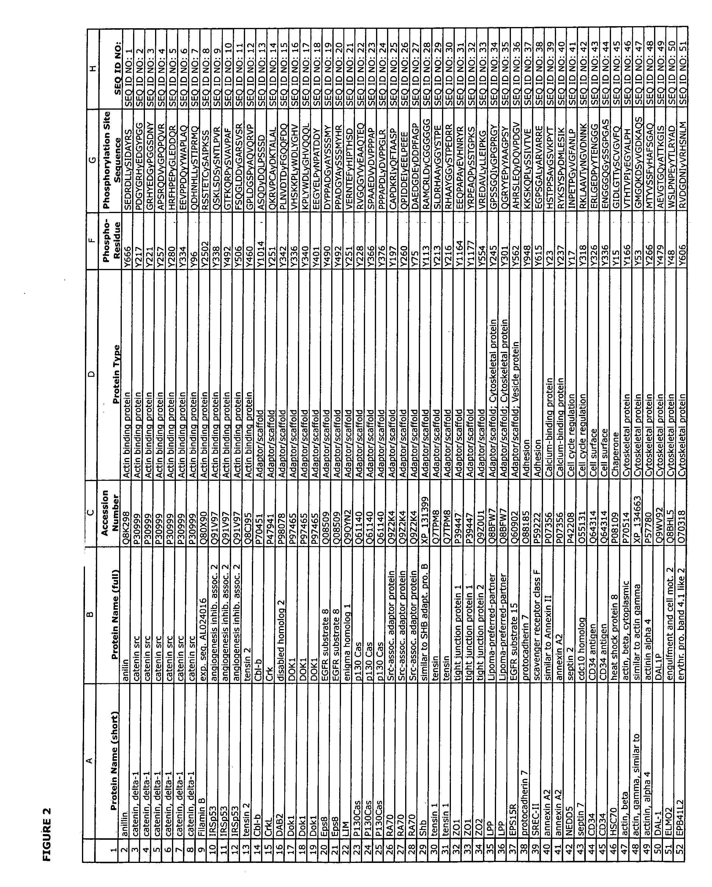 Reagents for the detection of protein phosphorylation in c-Src signaling pathways