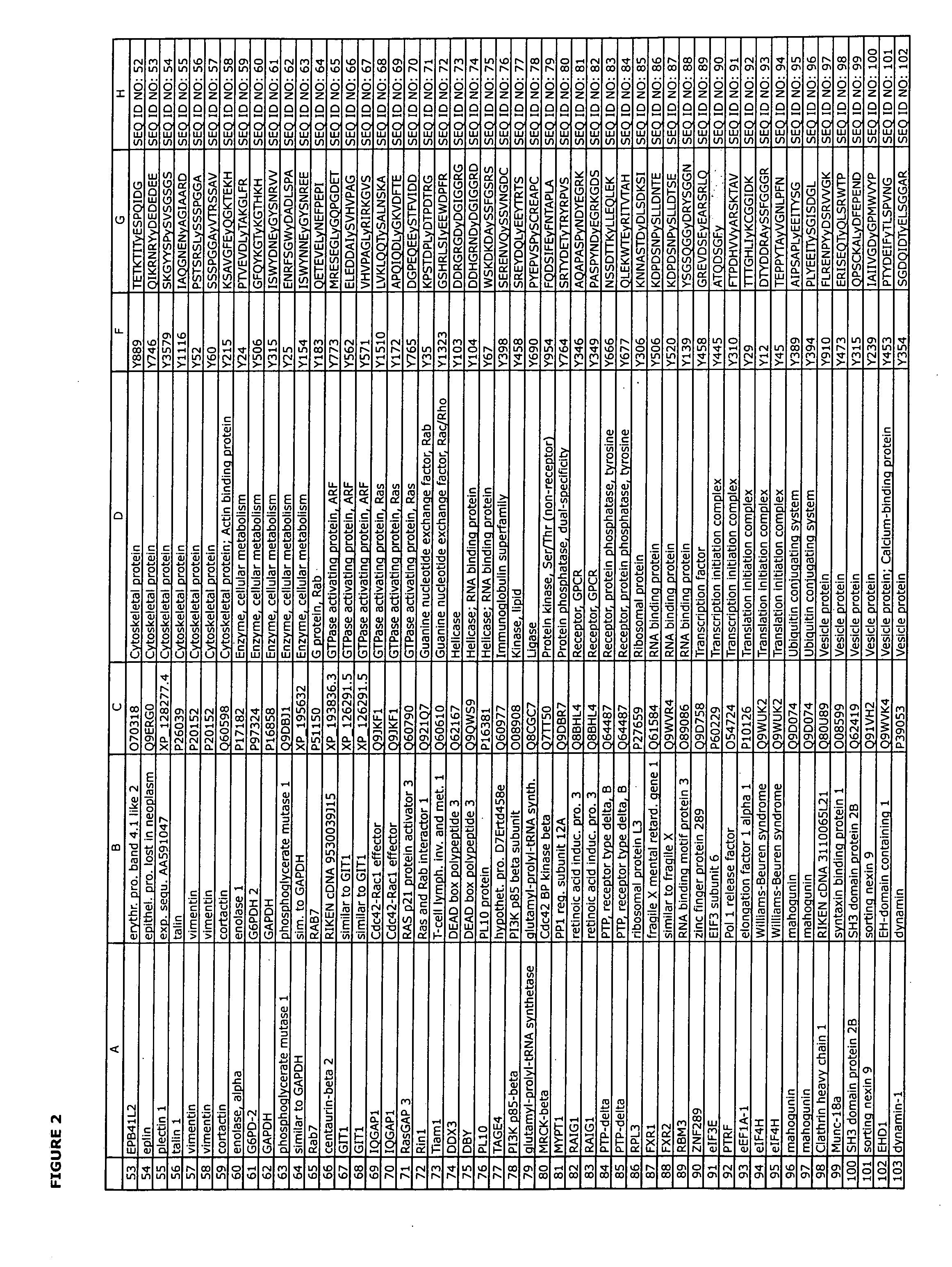 Reagents for the detection of protein phosphorylation in c-Src signaling pathways