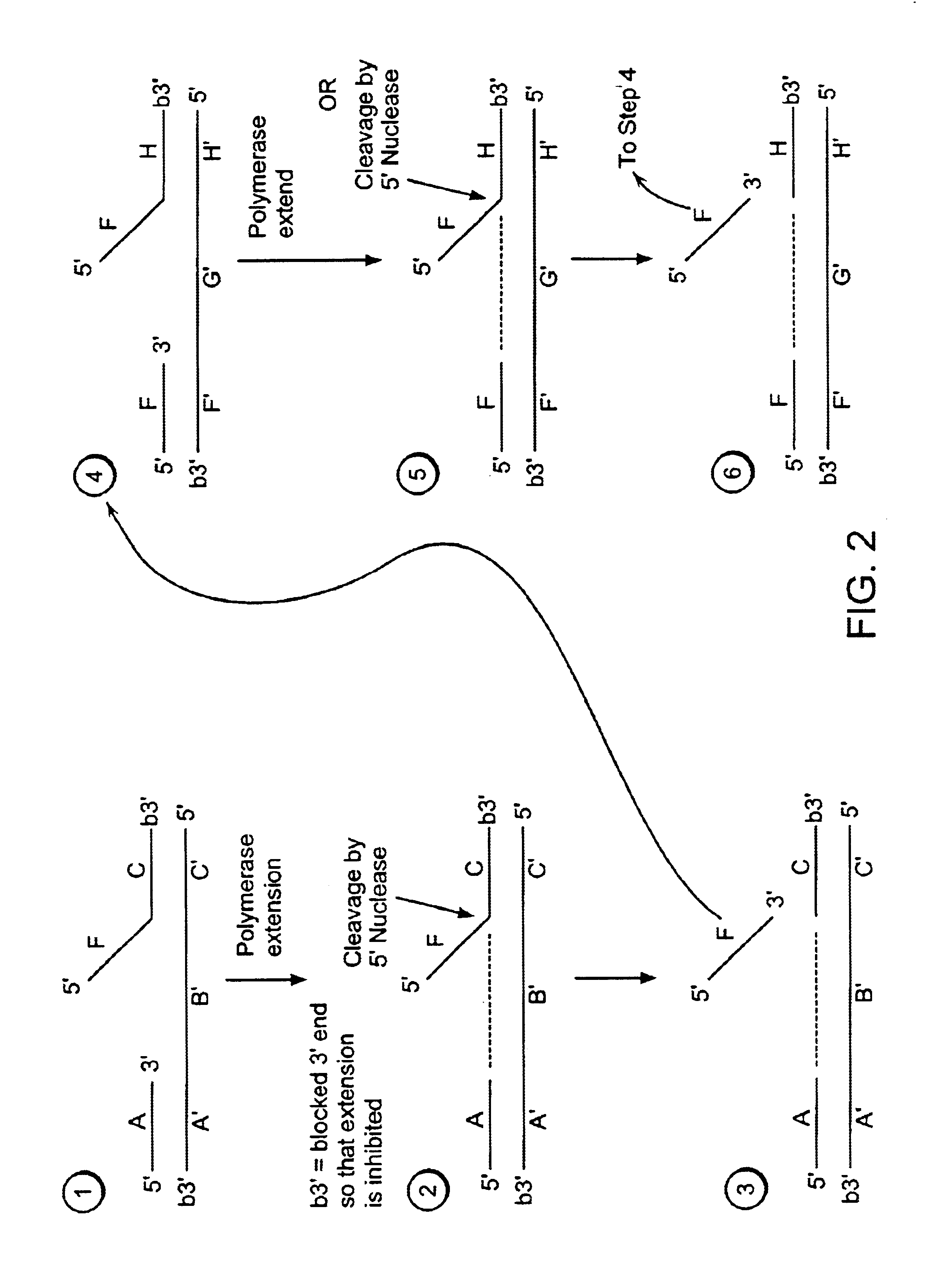 Methods for detection of a nucleic acid by sequential amplification