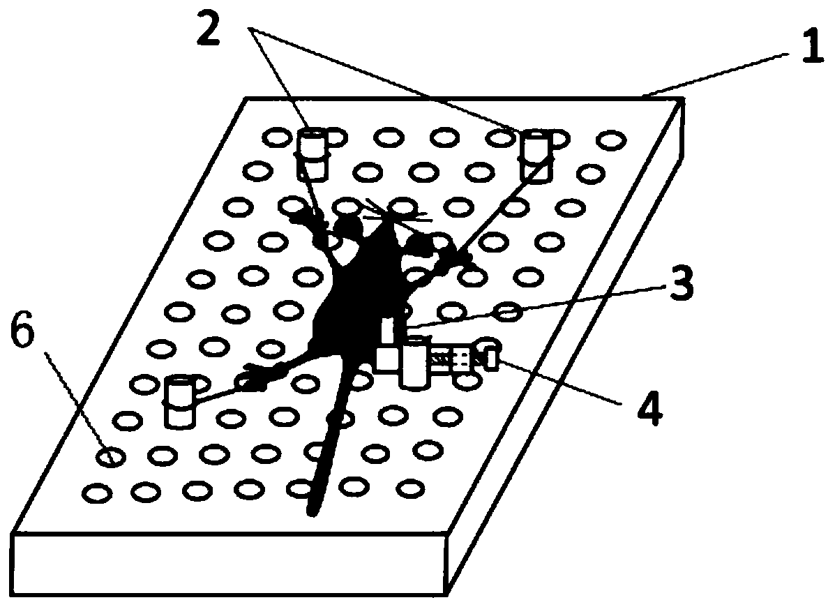 Synchrotron radiation X-ray microscopic CT suitable for imaging of living small animal limbs and fixing device