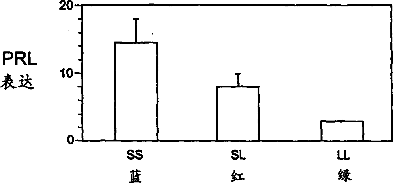 Method for identifying fast-growing fish in different salinity